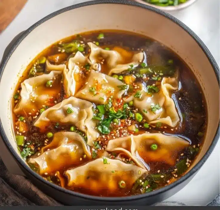 Potsticker Soup